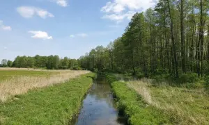Najlepsze trasy rowerowe w Siedlcach - odkryj piękne szlaki