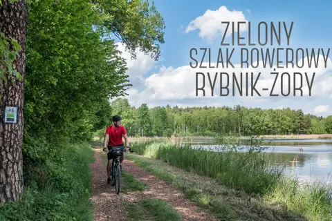 Najlepsze trasy rowerowe w Rybniku – unikaj nudnych szlaków!