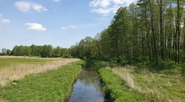 Najlepsze trasy rowerowe w Siedlcach - odkryj piękne szlaki